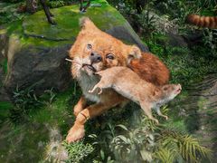 -国家自然博物馆