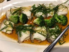 清蒸龙趸鱼-和平馆·地道港澳茶餐厅(西门口店)