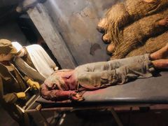 -沈阳“九·一八”历史博物馆