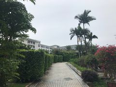 -厦门悦华酒店