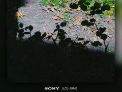 -兰拓相机租赁·维修·二手(上海店)