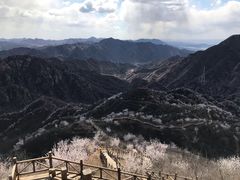 -大岭沟猕猴桃谷风景区