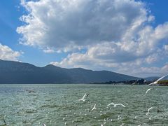 -海埂大坝