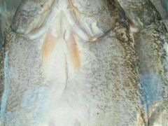 -新疆风味冷水鱼庄(友谊峰路店)