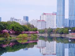 -望江楼公园