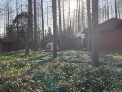 -上海怡沁园度假酒店