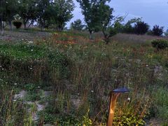 -汉长安城未央宫国家考古遗址公园