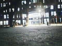 -黑龙江中医药大学