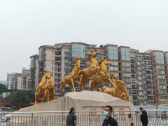 -骏景花园