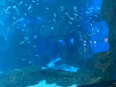 -海合安成都极地海洋公园