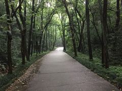picture-杭州林泉山庄