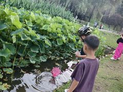 -沐仙湖湿地公园