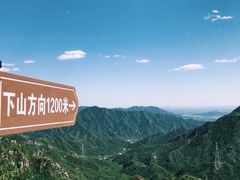 -大岭沟猕猴桃谷风景区