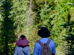 -世界恐龙谷景区