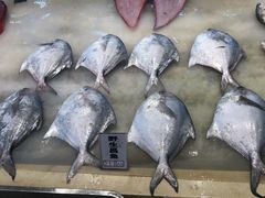 -启东海鲜人家(古美路店)