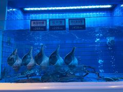 -金苑海鲜酒家(来魅力店)