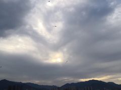 -仓山金山寺