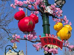 -上海迪士尼度假区