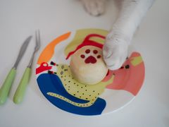 -猫小主咖啡·猫咖cat cafe(福田店)