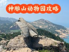 -西霞口神雕山野生动物世界