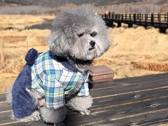 -泸沽湖国家级风景名胜区走婚桥