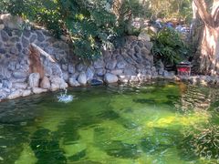 -湖泉半山温泉