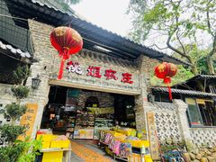 -桃姐农庄老字号(从化温泉店)