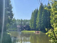 -黄海国家森林公园