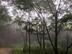 -妙峰山风景名胜区