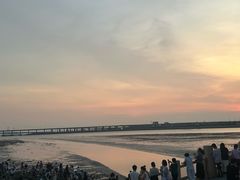 -宝安西湾红树林湿地公园