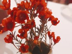 -眉州东坡(华联万柳店)