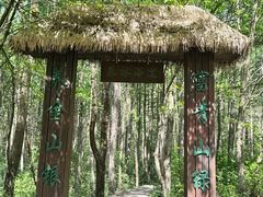 -青峰峡国家森林公园