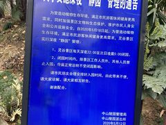 -灵谷景区