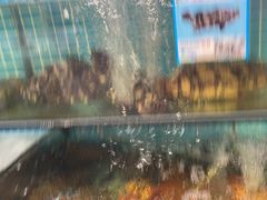 -范饭椰林川湘味海鲜·椰子鸡(三亚湾椰梦长廊店)