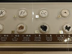 -中国农业博物馆