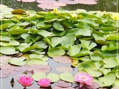 -国家植物园南园