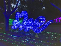 -郑州市世纪公园
