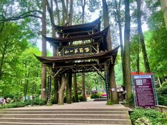 -青城山