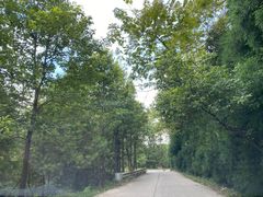 -重庆雨台山风景区