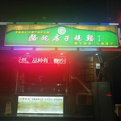 天津白蚁防治：守护家园的卫士