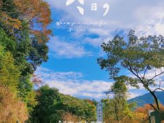 -广州市石门国家森林公园