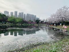 -堤角公园