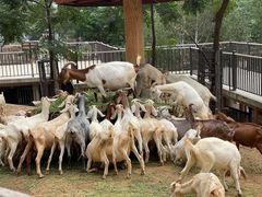 -石家庄市动物园