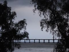 -宝安西湾红树林湿地公园