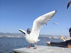 -南屏步行街