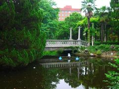 -叶家花园