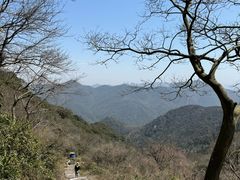 -北仑森林植物园