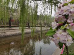 -海棠花溪(元大都城垣遗址公园)