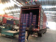 -堤口果品批发市场