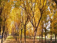 -亿利库布其七星湖沙漠生态旅游区